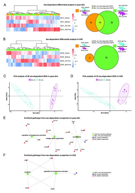 Differential Expression Analysis Indicates Protein Signatures Of Sexual