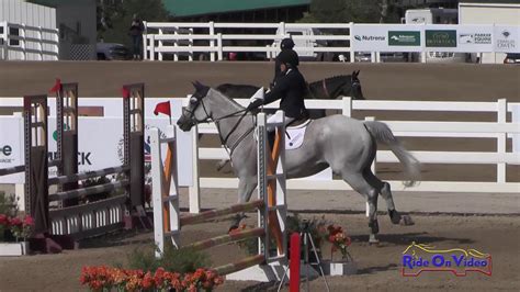 S Allison Hill On Stellor Rockafella Novice Amateur Show Jumping