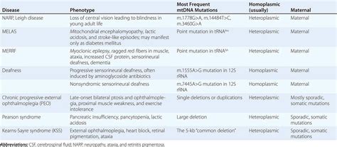 Mitochondrial Dna And Heritable Traits And Diseases Basicmedical Key