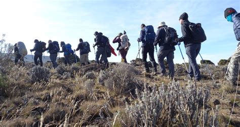 Mejores Viajes Por Ruta Machame Para Grupos Peque Os