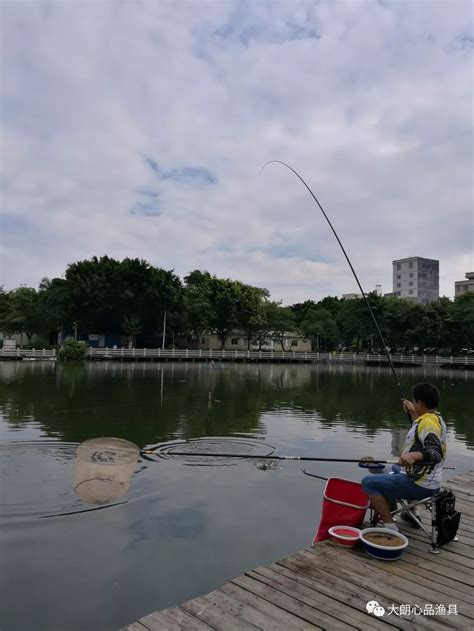 看完这个，你就知道怎么判断鱼竿调性了钓竿