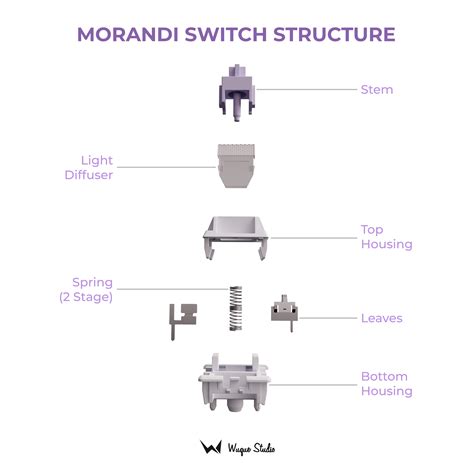 WS Morandi Switch Wuque Studio