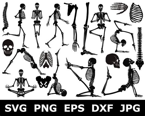 Free Svg Files Skeleton 228 Dxf Include