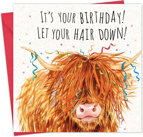 Twizler Funny Birthday Card Scottish Highland Cow Funny Card For Men