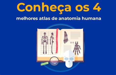 Os Melhores Atlas De Anatomia Humana Conheça 4