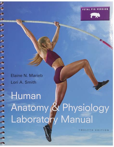 Amazon Human Anatomy Physiology Laboratory Manual Fetal Pig