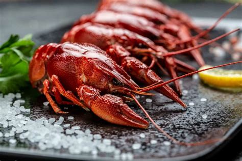 Is Crawfish A Healthy Choice With Full Nutrition Facts Nutrition Advance