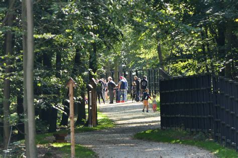 Zagroda Ubr W W Raciborzu Wszyscy Wypatruj Zwierz T A Te Si