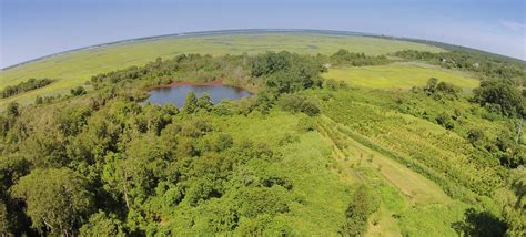 Pogorelc Sanctuary — Barnstable Land Trust