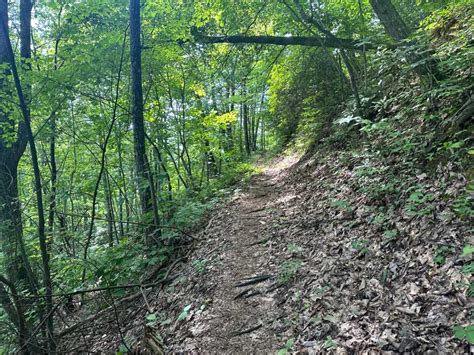 Roundtop Trail Smoky Mountain Hikes Pigeonforge