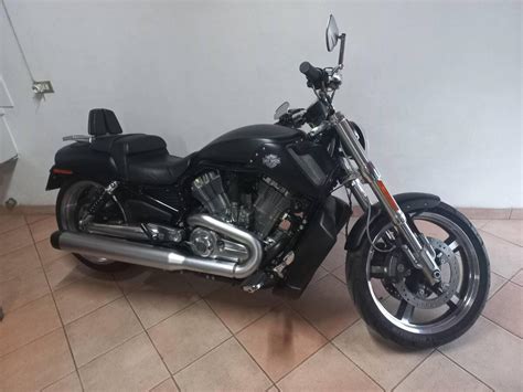 Vendo Harley Davidson V Rod Muscle Vrscf Usata A