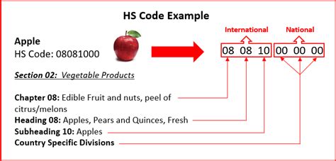 What Is Hs Code Gce Logistics Importer Of Record Logistics