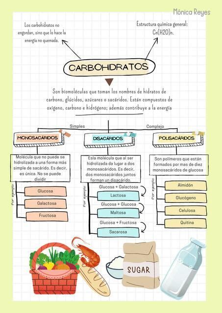 Hidratos de carbono Mónica uDocz Lecciones de biología