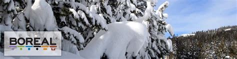 Boreal - Snowbomb, skiing & snowboarding