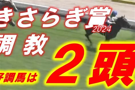 【競馬予想】東京新聞杯2024！枠順前推奨馬3頭紹介！ Yayafa