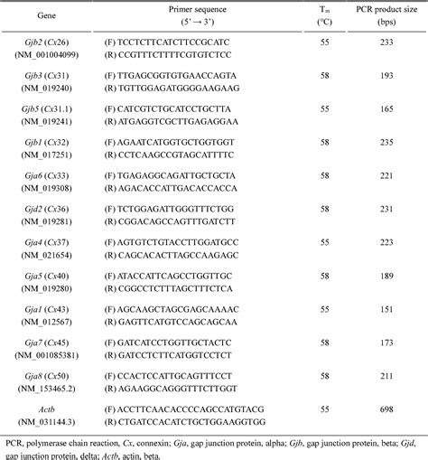 Table From Expressional Patterns Of Connexin Isoforms In The Rat