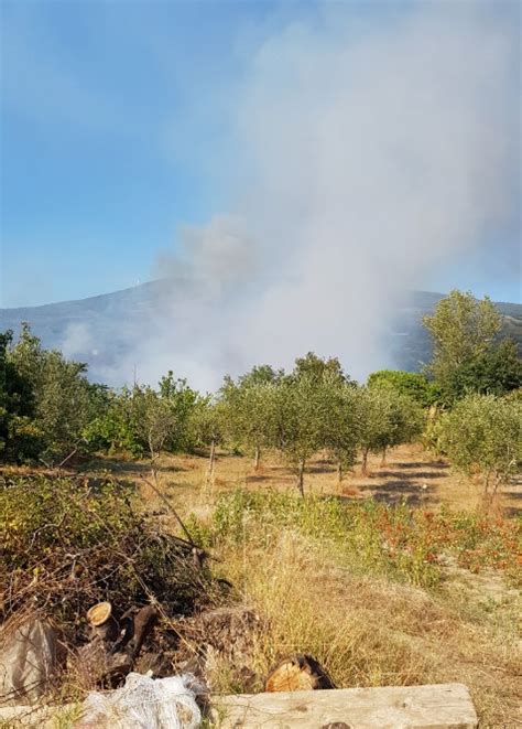 EMERGENZA ROGHI VIGILI DEL FUOCO AL LAVORO SENZA SOSTA LA