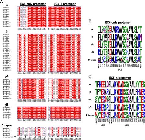 Figures And Data In How Clustered Protocadherin Binding Specificity Is