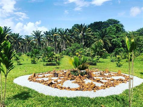 The Botanical Garden Of Bingerville Ivory Coast Musee Africa