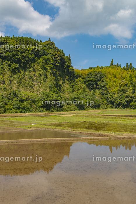 田植え前の水を張った田んぼ 水面に風景が反射しているの写真素材 256058023 イメージマート