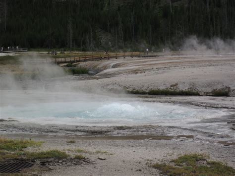 Spouter Geyser Erupting Pm On August Flickr