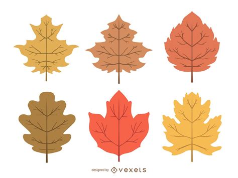 Delicate Autumn Leaves Illustration Set Vector Download