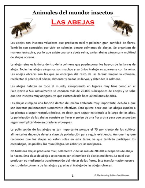 Las Abejas Lecturas Cortas De Comprension Lectura De Comprensi N