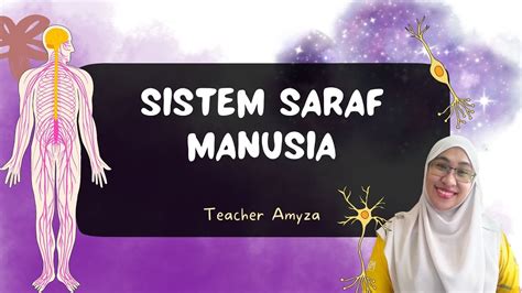 SISTEM SARAF MANUSIA JENIS SISTEM SARAF SAINS TAHUN 6 YouTube