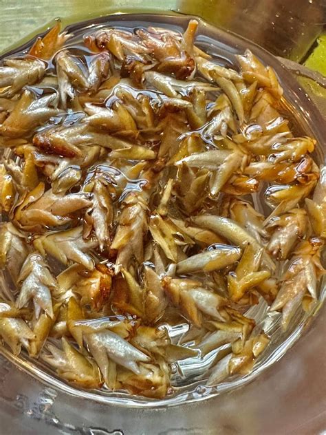 Чайная высота. Дом чая и мороженого