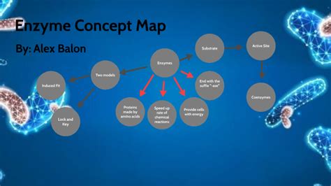 Enzymes Concept Map By Alexander Balon