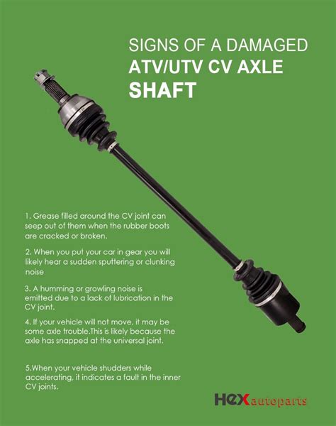 Noise After Cv Axle Replacement Curriculum Vitae Template