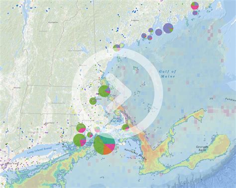 Portal Now Displays Live Updates To Noaa Dynamic Management Areas For