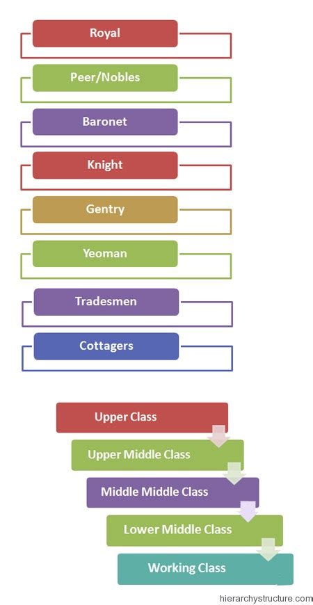 Hierarchy Social