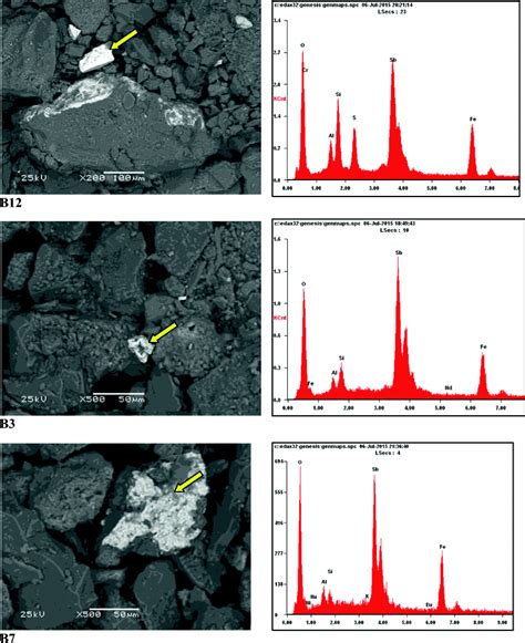 Representative Sem Images Left Panel And The Corresponding Edx Download Scientific Diagram