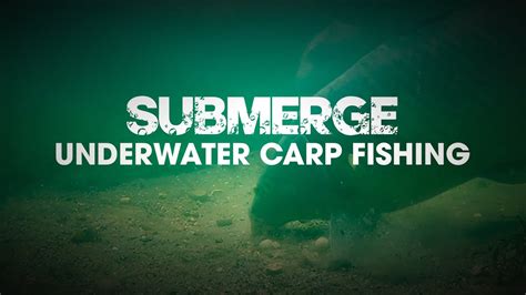 1 5 Hour Full Film Underwater Carp Fishing Cypography Submerge Pt 1