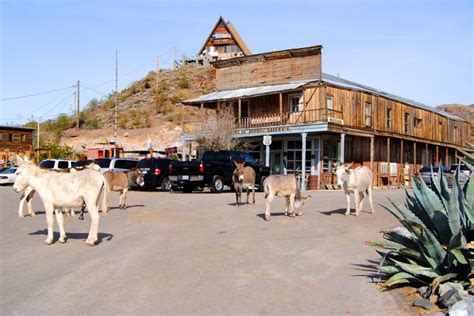 Oatman Arizona A Living Ghost Town Legends Of America