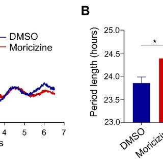 Moricizine Lengthens The Circadian Period In Atrial Tissues Ex Vivo