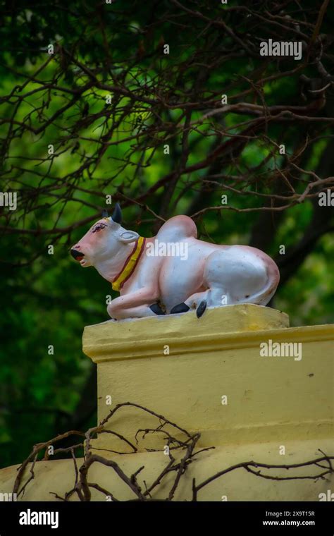 Cow Statue On The Hindu Temple Wall Stock Photo Alamy