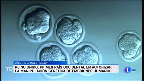 Manipulaci N Gen Tica Con Embriones Humanos Youtube