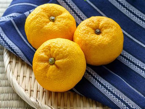 What Is Yuzu And Common Ways To Use Yuzu, 47% OFF