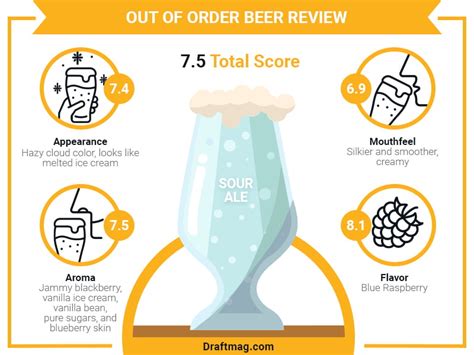 Out Of Order Beer Review Unveiling One Of The Finest Sour Beers