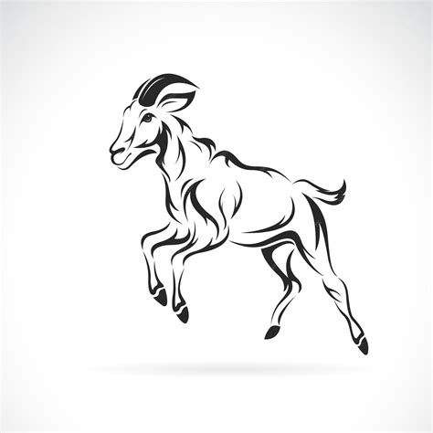 Premium Vector Vector Of Goat Design On A White Background Wildlife