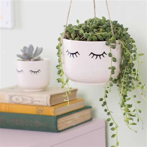 How To Save A Dying Plant In 6 Simple Steps