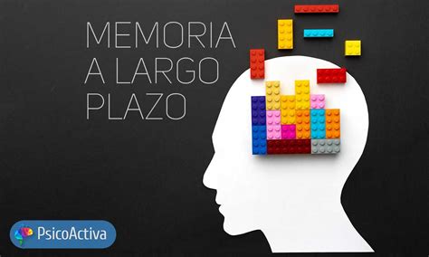 En Que Consiste La Memoria A Largo Plazo Image To U