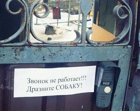Дразните старательно. Звонок с характером! | Смешно, Веселые картинки ...