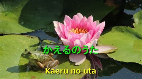 かえるの歌 ローマ字歌詞、ポルトガル語翻訳付きkaeru No Uta With Lyrics Youtube