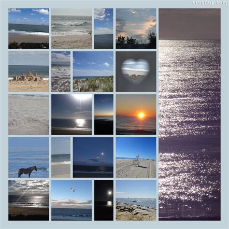 Create beautiful collage scrapbook pages on Cropdog.com. | Beach ...