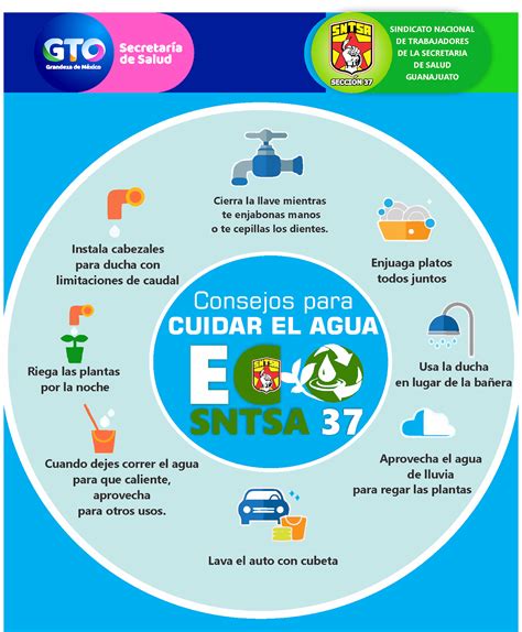 3 Ejemplos Para Cuidar El Agua Guía Práctica Optimaestudio