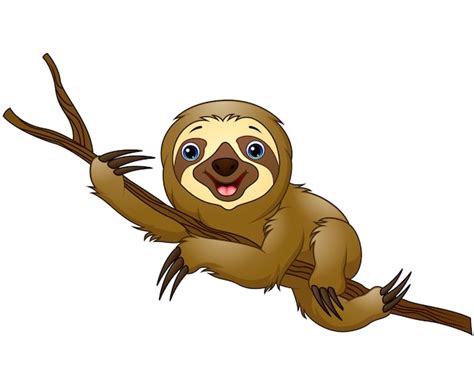 Premium Vector | Cartoon sloth on a tree branch