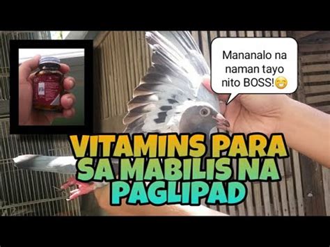 Epektibo At Murang Vitamins Ng Kalapati Bumili Tayo Ng Bagong